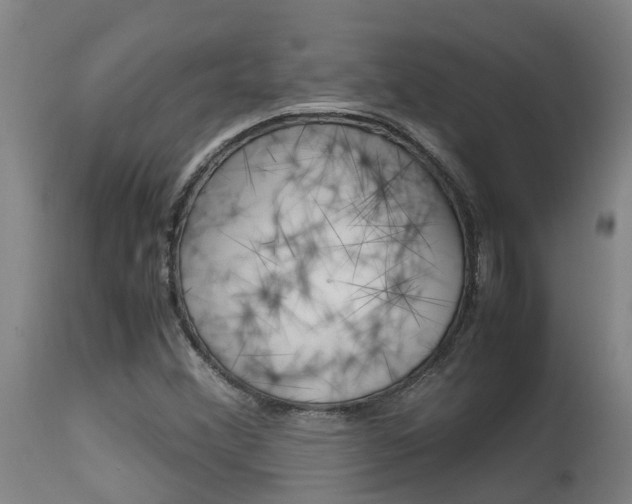 X0000115581356200911100944