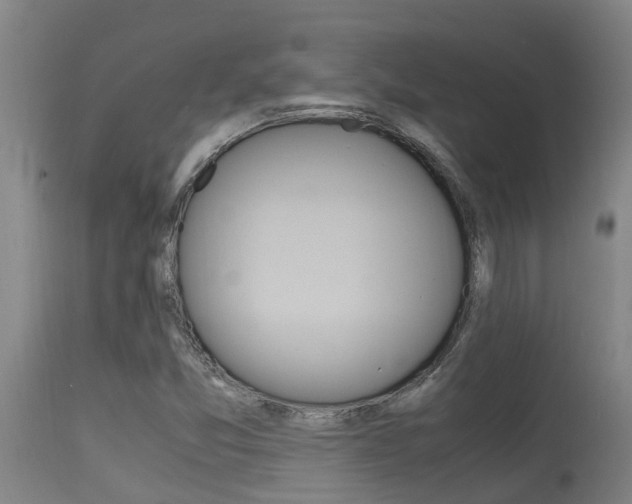X0000115581357200911100944