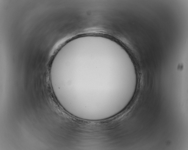 X0000115581358200911100944