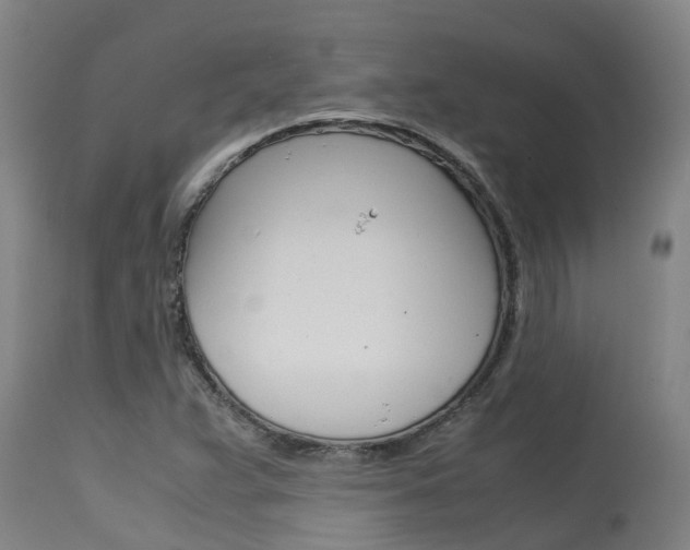 X0000115581359200911100944