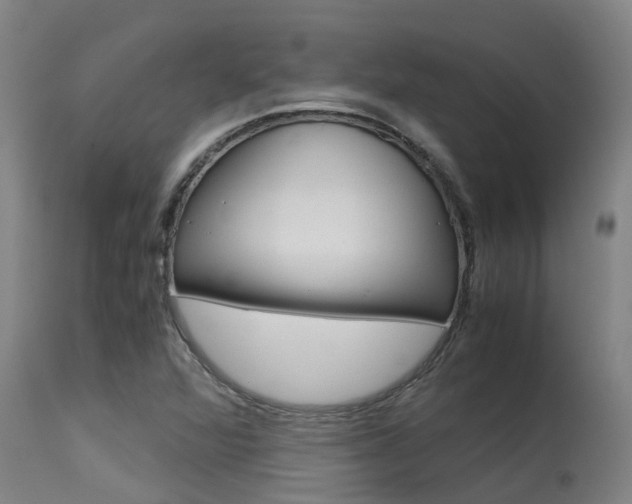 X0000115581360200911100944