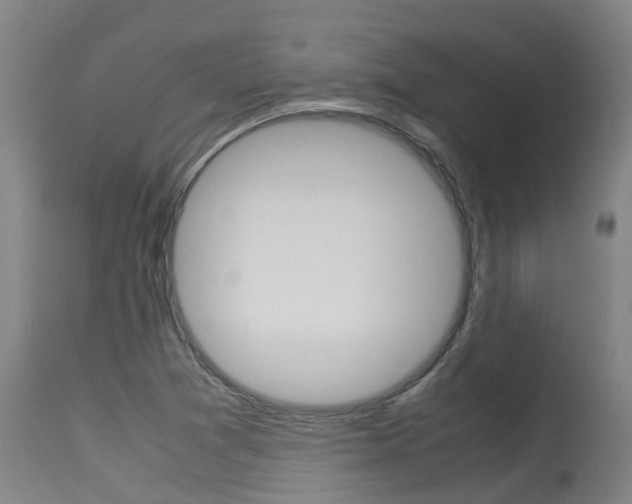 X0000115581361200911100944