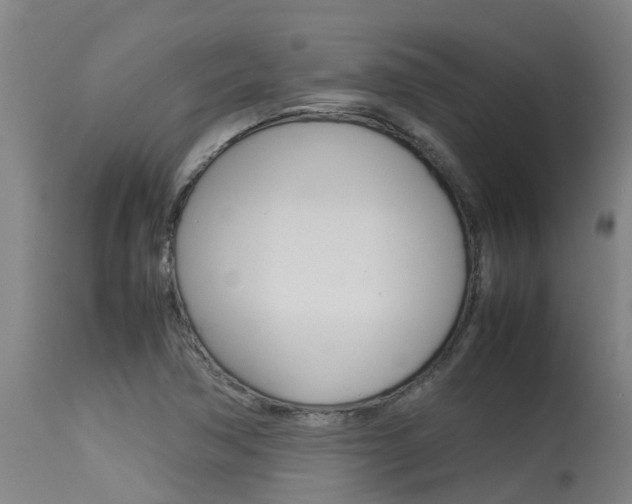 X0000115581362200911100944