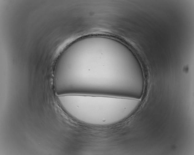 X0000115581363200911100944