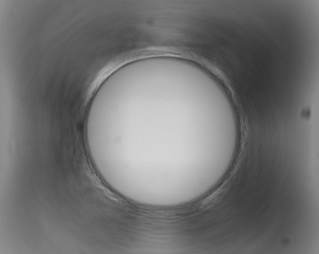 X0000115581365200911100944