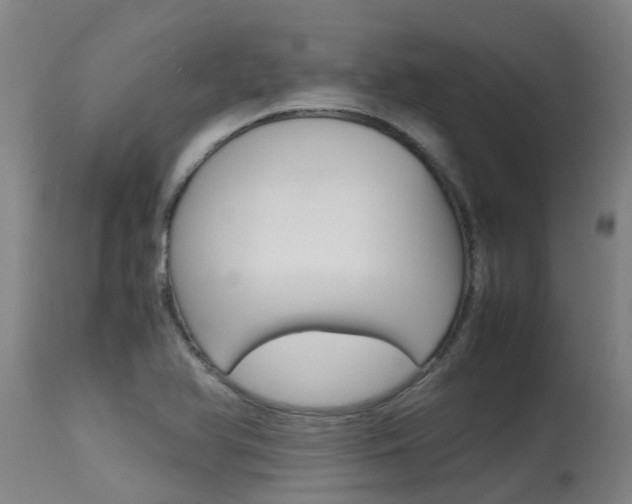 X0000115581366200911100944