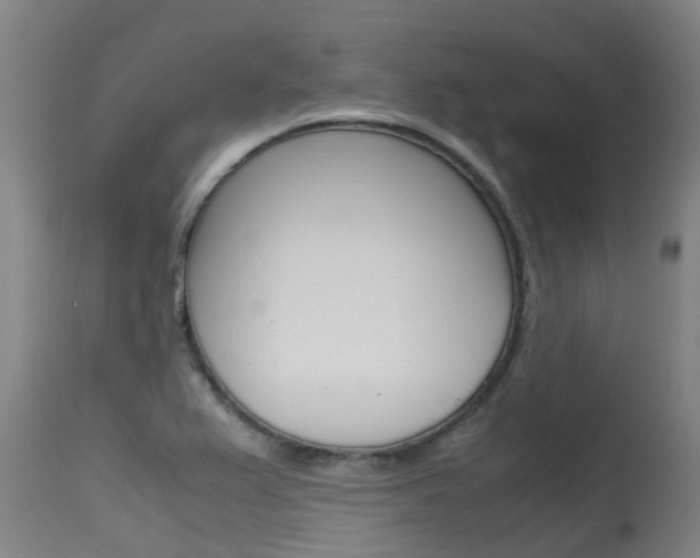 X0000115581367200911100944