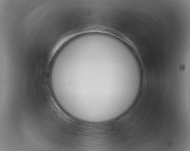 X0000115581368200911100944