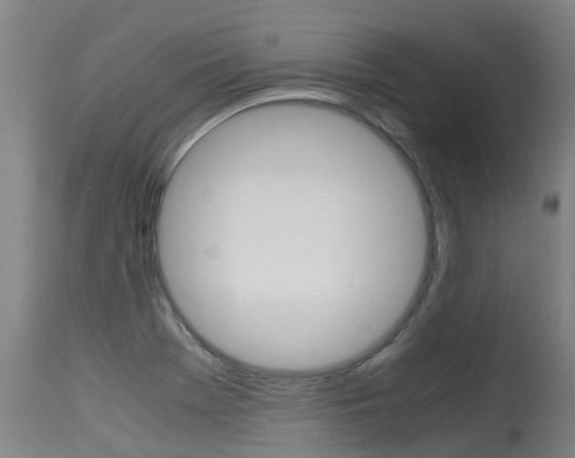 X0000115581369200911100944