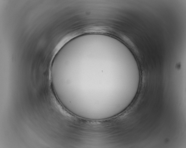X0000115581370200911100944