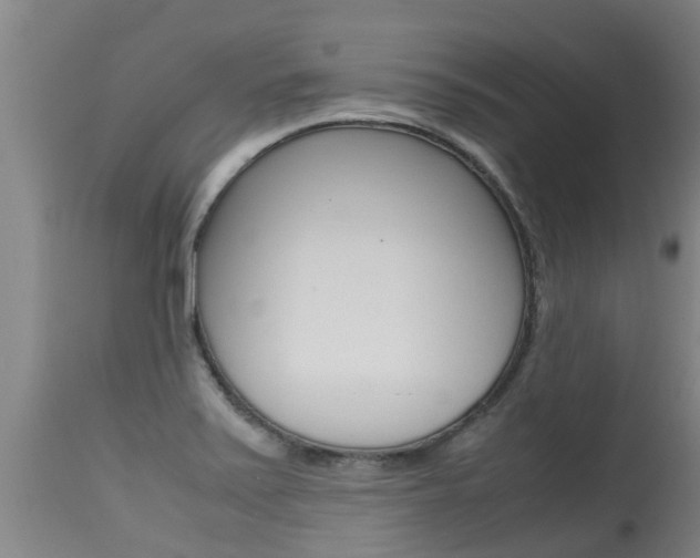 X0000115581371200911100944