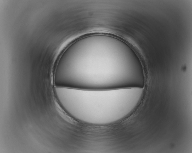 X0000115581372200911100944