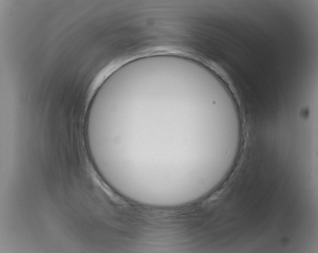 X0000115581373200911100944