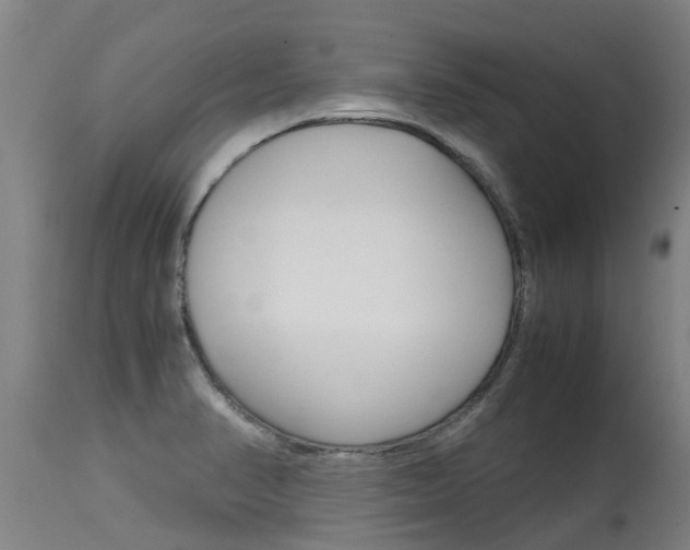 X0000115581374200911100944