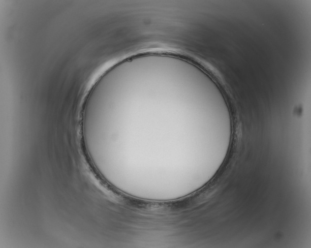 X0000115581375200911100944