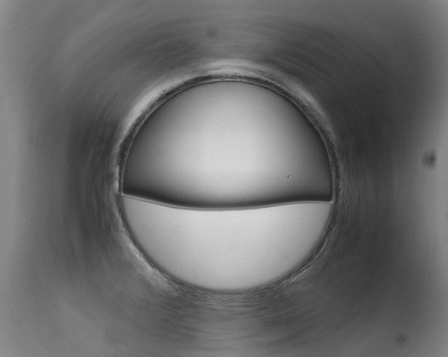 X0000115581376200911100944