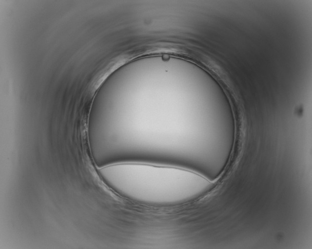 X0000115581377200911100944