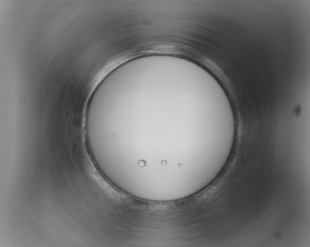 X0000115581378200911100944