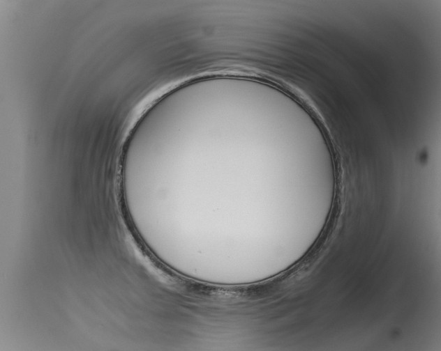 X0000115581379200911100944