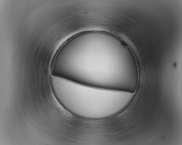 X0000115581380200911100944
