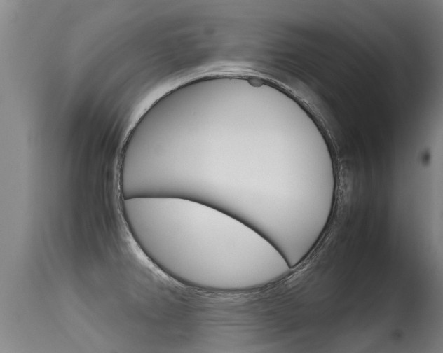 X0000115581382200911100944