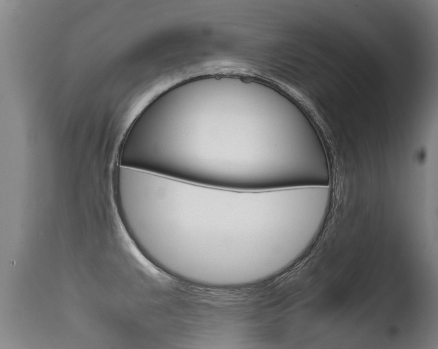 X0000115581383200911100944