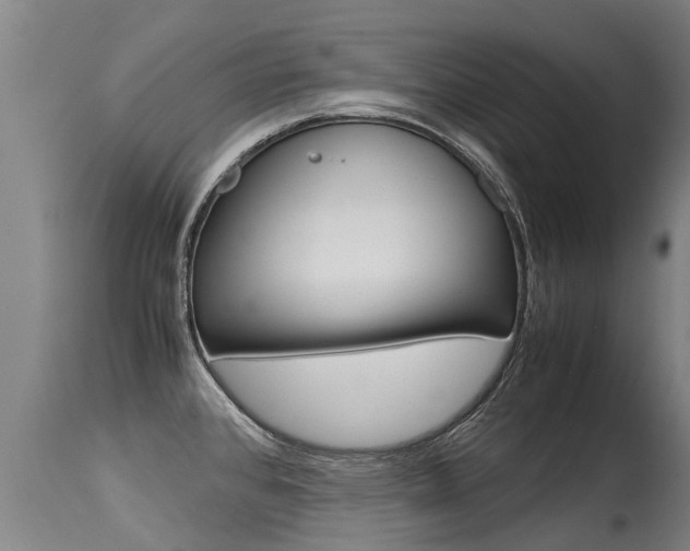 X0000115581384200911100944