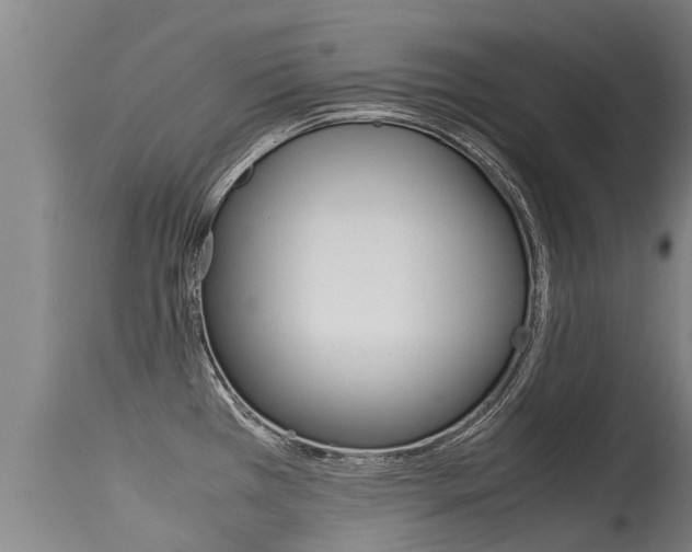 X0000115581385200911100944
