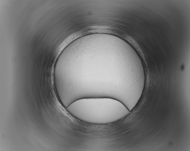 X0000115581386200911100944
