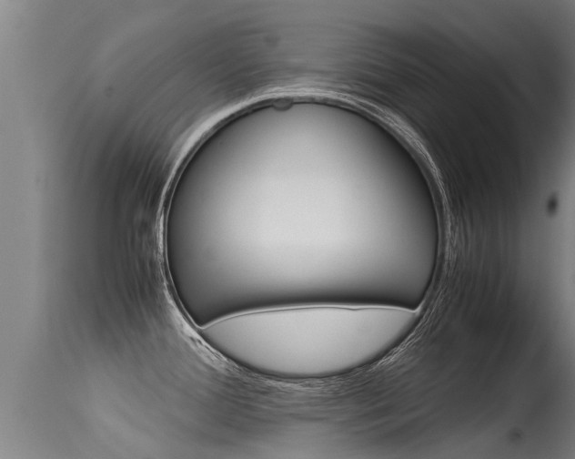 X0000115581388200911100944