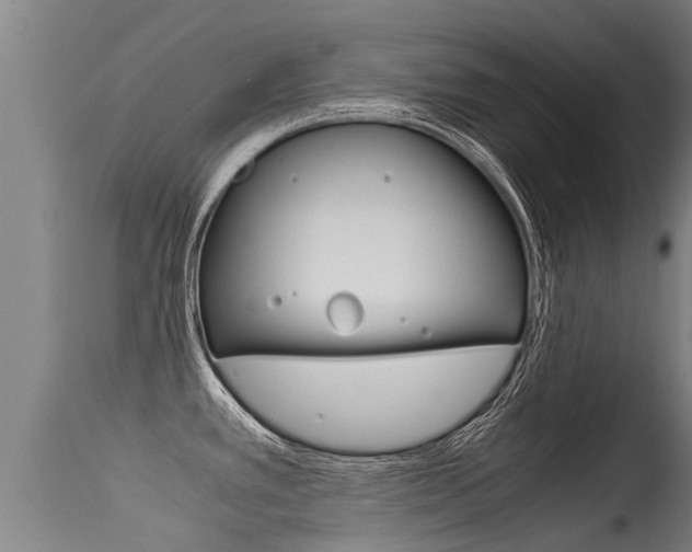 X0000115581389200911100944
