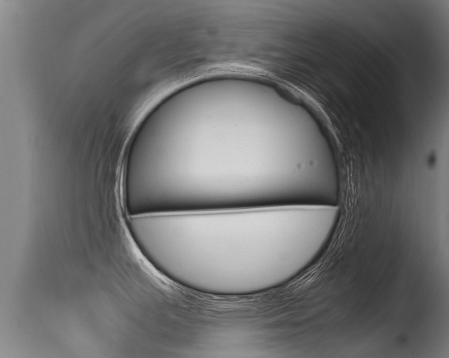 X0000115581391200911100944