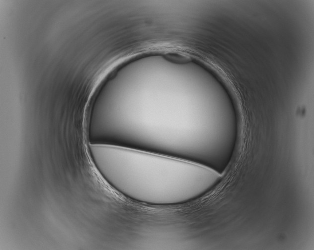 X0000115581392200911100944