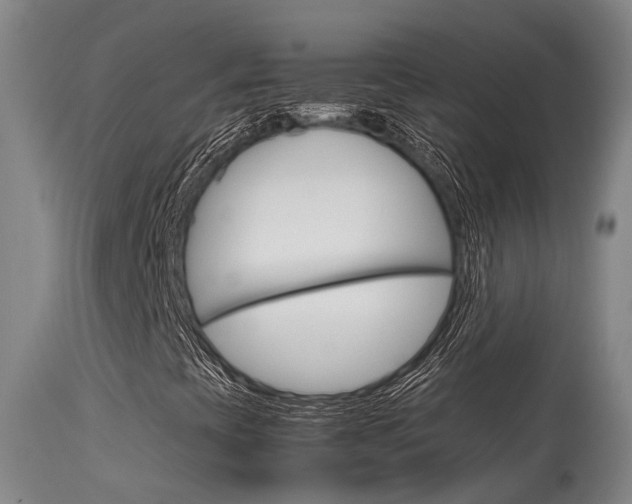 X0000115581393200911100943