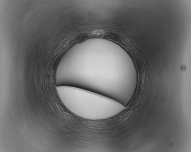 X0000115581394200911100943
