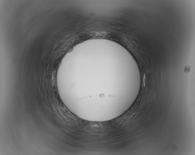 X0000115581395200911100943