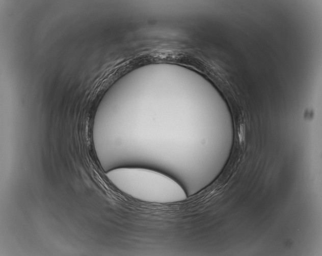X0000115581396200911100943