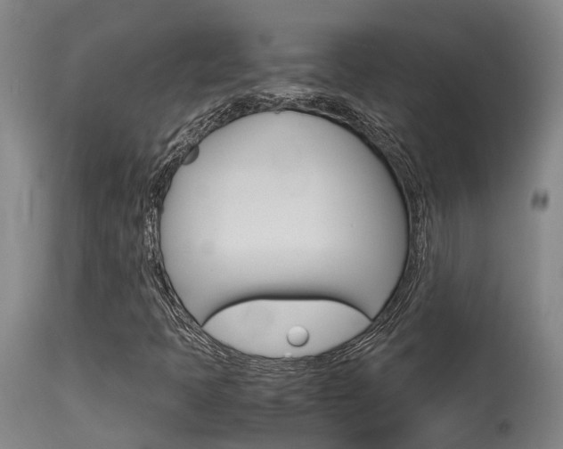 X0000115581397200911100943