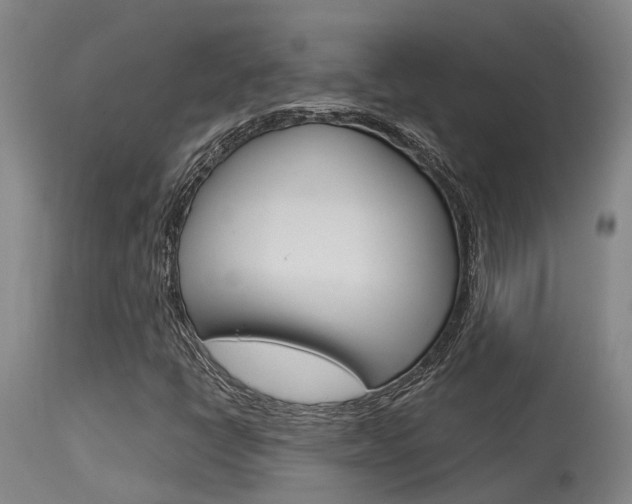 X0000115581398200911100943