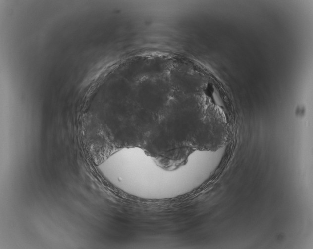 X0000115581399200911100943