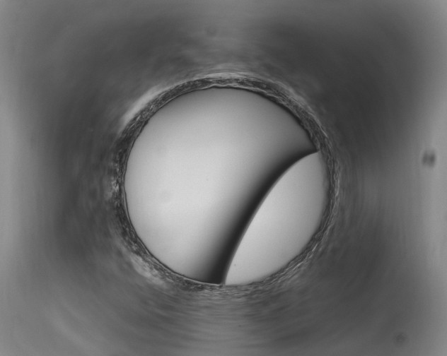 X0000115581400200911100943