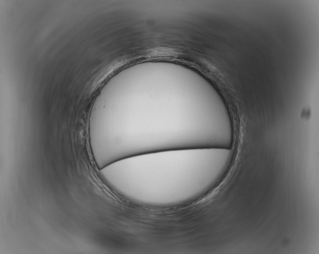X0000115581401200911100943