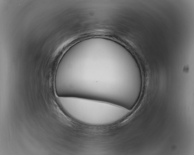 X0000115581402200911100943