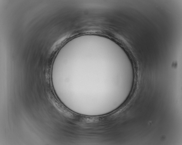 X0000115581403200911100943