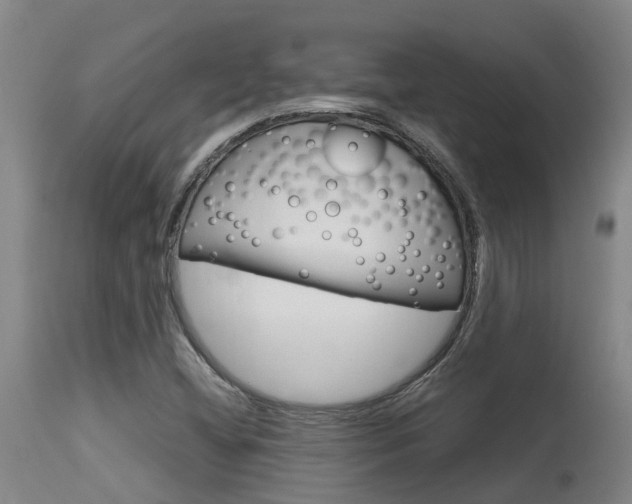 X0000115581404200911100943