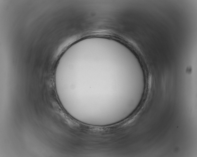 X0000115581405200911100943