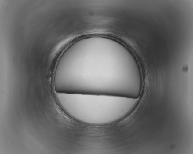 X0000115581406200911100943