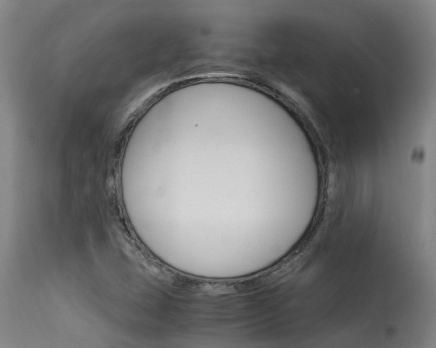 X0000115581407200911100943