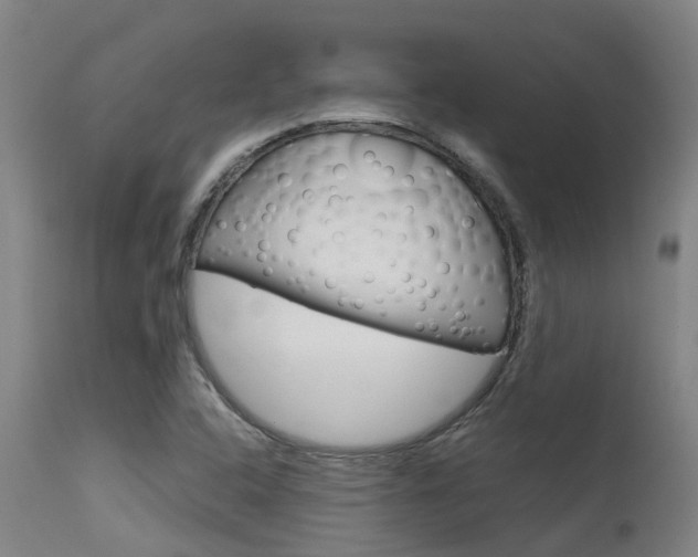 X0000115581408200911100944