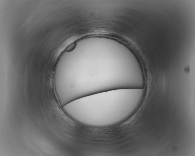 X0000115581409200911100944